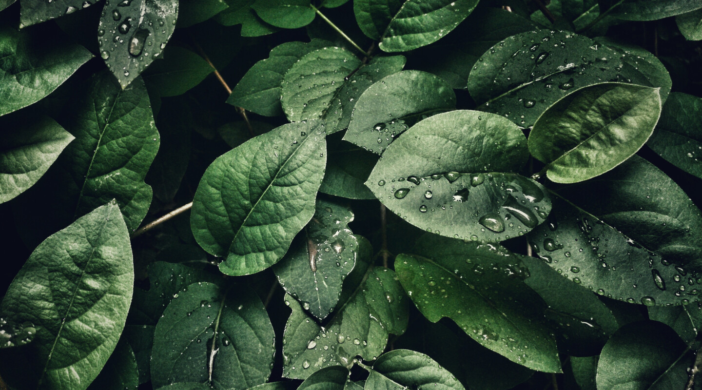 Sustainability starts now