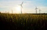 Investment in wind power