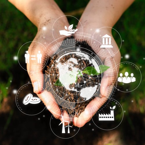 Our understanding of sustainability